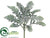 Dusty Miller Spray - Green Gray - Pack of 12