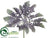 Dusty Miller Spray - Green Purple - Pack of 12