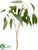 Silk Plants Direct Eucalyptus Spray - Green - Pack of 12