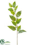 Silk Plants Direct Eucalyptus Spray - Green - Pack of 12