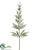 Asparagus Fern Spray - Green - Pack of 12