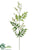 Polypodium Fern Spray - Green Green - Pack of 12