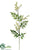 Polypodium Fern Spray - Green Yellow - Pack of 12