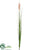 Pampas Grass Spray - Blush - Pack of 12