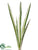 Spider Grass Bunch - Cream Green - Pack of 12