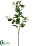 Silk Plants Direct Grape Leaf Spray - Green - Pack of 12