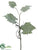 Grape Leaf Spray - Green - Pack of 12