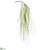 Willow Hanging Spray - Green - Pack of 12