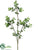 Mini Ivy Spray - Green - Pack of 12