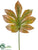 Fatsia Japonica Leaf Spray - Brown Green - Pack of 24