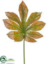 Silk Plants Direct Fatsia Japonica Leaf Spray - Brown Green - Pack of 24