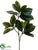 Magnolia Leaf Spray - Green - Pack of 12