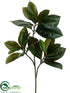 Silk Plants Direct Magnolia Leaf Spray - Green - Pack of 12