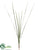 Lily Turf Leaf Spray - Variegated - Pack of 12