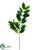 Coffee Leaf Spray - Green - Pack of 12