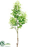 Silk Plants Direct Locust Branch - Green Cream - Pack of 12