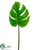 Monstera Leaf Spray - Green - Pack of 12