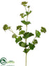 Silk Plants Direct Lady Mantle Flower Spray - Green - Pack of 12