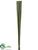 Pond Reed Bundle - Green - Pack of 6