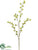 Silk Plants Direct Sedum Spray - Green - Pack of 12