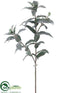 Silk Plants Direct Sage Spray - Green Gray - Pack of 12