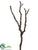 Twig Spray - Brown - Pack of 8