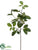 Viburnum Spray - Green - Pack of 12