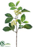 Silk Plants Direct Viburnum Spray - Green - Pack of 12