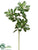 Viburnum Spray - Green - Pack of 12