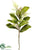 Silk Plants Direct Magnolia Leaf, Fern Spray - Green - Pack of 12