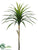 Yucca Stem - Green Burgundy - Pack of 8