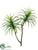 Yucca Stem - Green Cream - Pack of 4