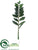 Zamioculcas Spray - Green - Pack of 6