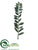 Zamioculcas Spray - Green - Pack of 6