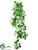 Potato Leaf Hanging Vine - Green Pink - Pack of 6