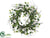 Cottonwood Twig Wreath - Green - Pack of 2