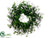 Eucalyptus Twig Wreath - Green - Pack of 2