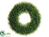 Silk Plants Direct Tea Leaf Wreath - Green - Pack of 4