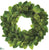 Magnolia Leaf Wreath - Green - Pack of 2