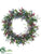 Eucalyptus, Thistle Wreath - Burgundy Green - Pack of 2