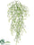 Lotus Hanging Vine - Green - Pack of 12