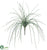 Onion Grass Bush - Green - Pack of 12