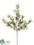 Mini Boxwood Spray - Salmon Green - Pack of 12