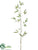 Bamboo Spray - Green - Pack of 12