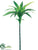 Dracaena Spray - Green White - Pack of 12