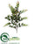 Eucalyptus Spray - Green - Pack of 12