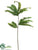 Umbrella Fern Spray - Green - Pack of 12