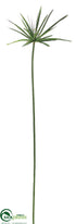 Silk Plants Direct Cypress Grass Spray - Green - Pack of 12