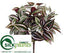 Silk Plants Direct Wandering Jew Bush - Green - Pack of 12