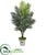 Silk Plants Direct Paradise Palm Artificial Plant - Pack of 1